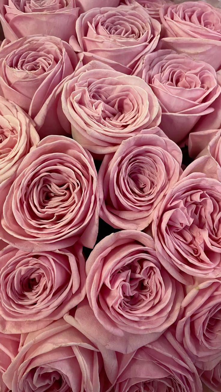 Corporate floral consultation example